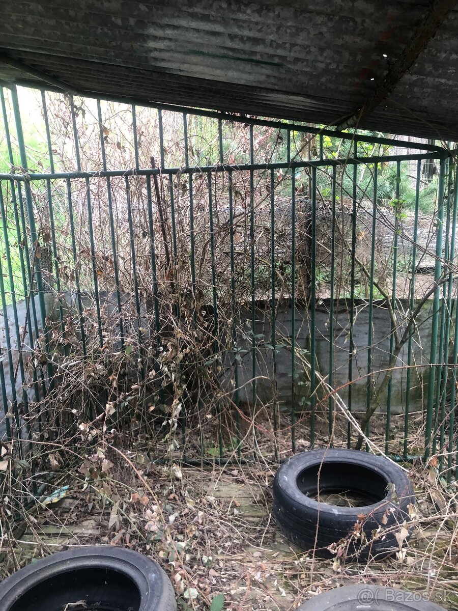 Predám voliéru pre psa - 3