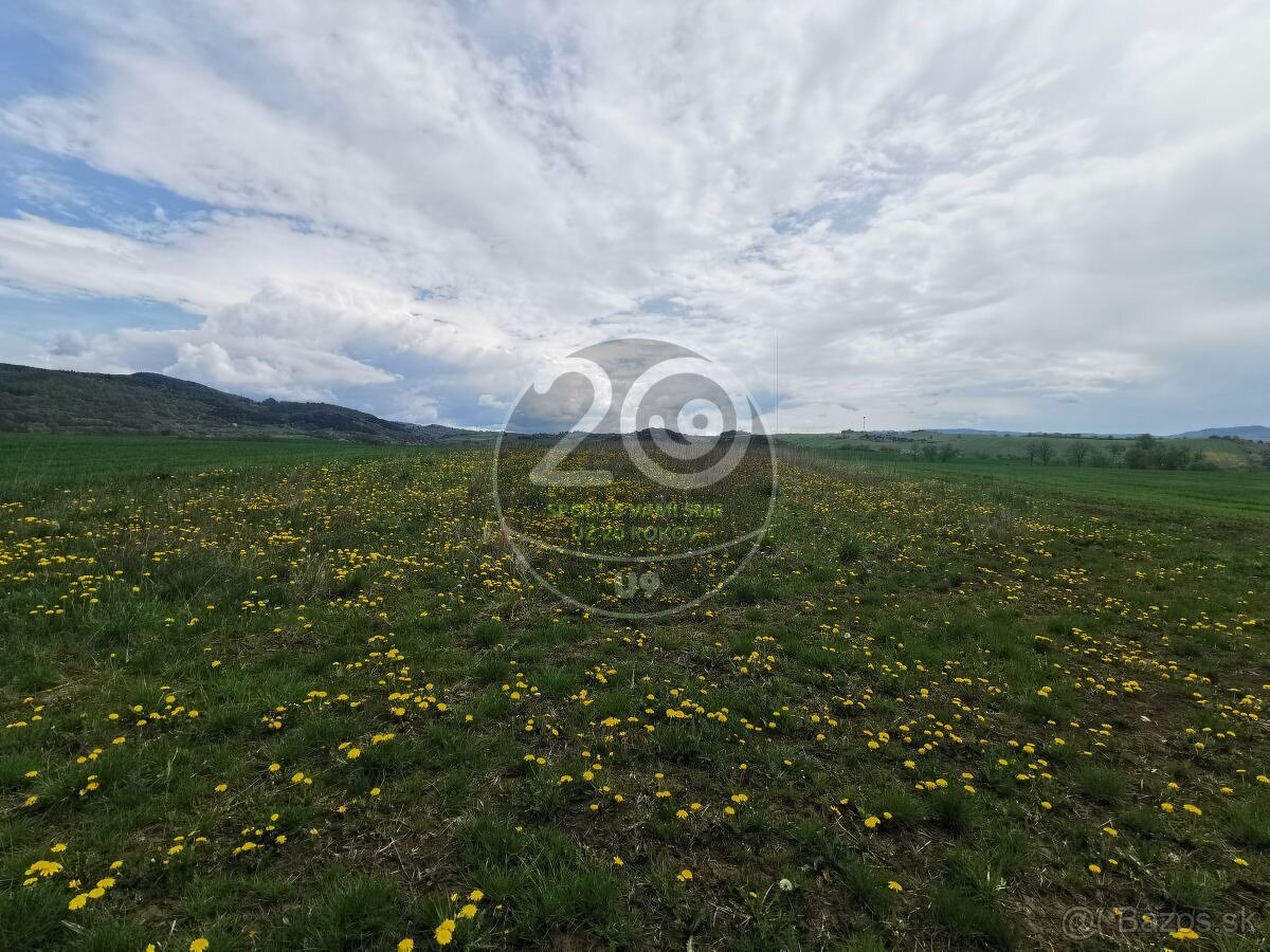 Predaj pozemku v časti Kostolná okres Detva spoločnosťou U9 - 3