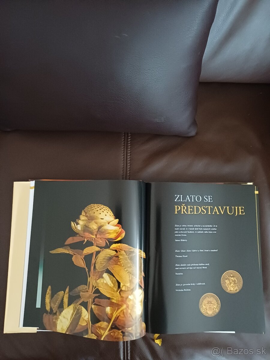 Z L A T O- příběh neobyčejného kovu B. Struž - 3