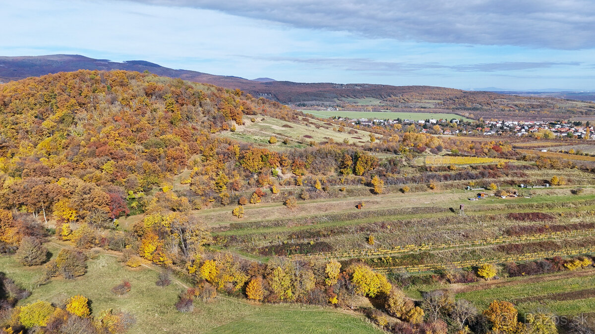 Pekný lesný pozemok kúsok od vyhliadky Vimperk - 3