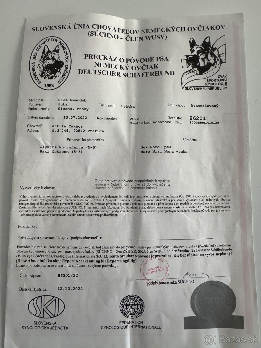 ⸻ Darujem nemeckého ovčia - 3