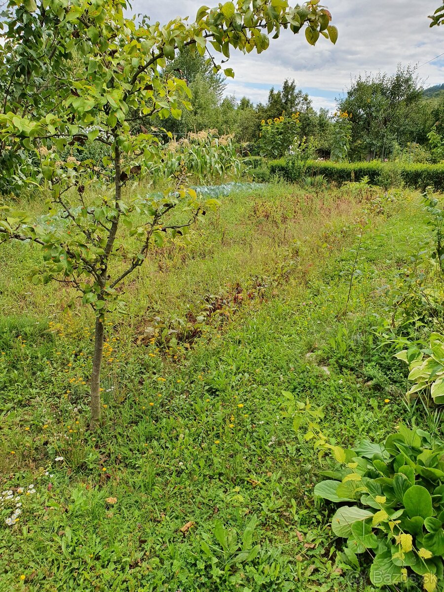 Fotografia 3