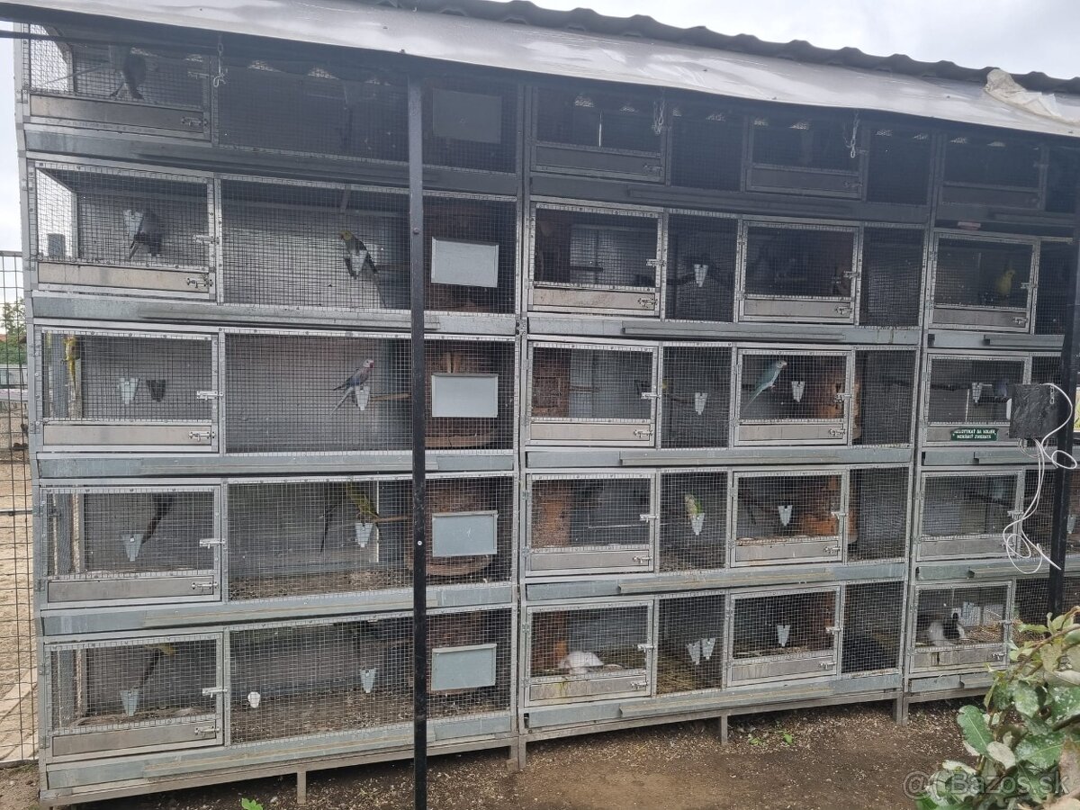 Voliéry..Klietky.Zajačník - 3