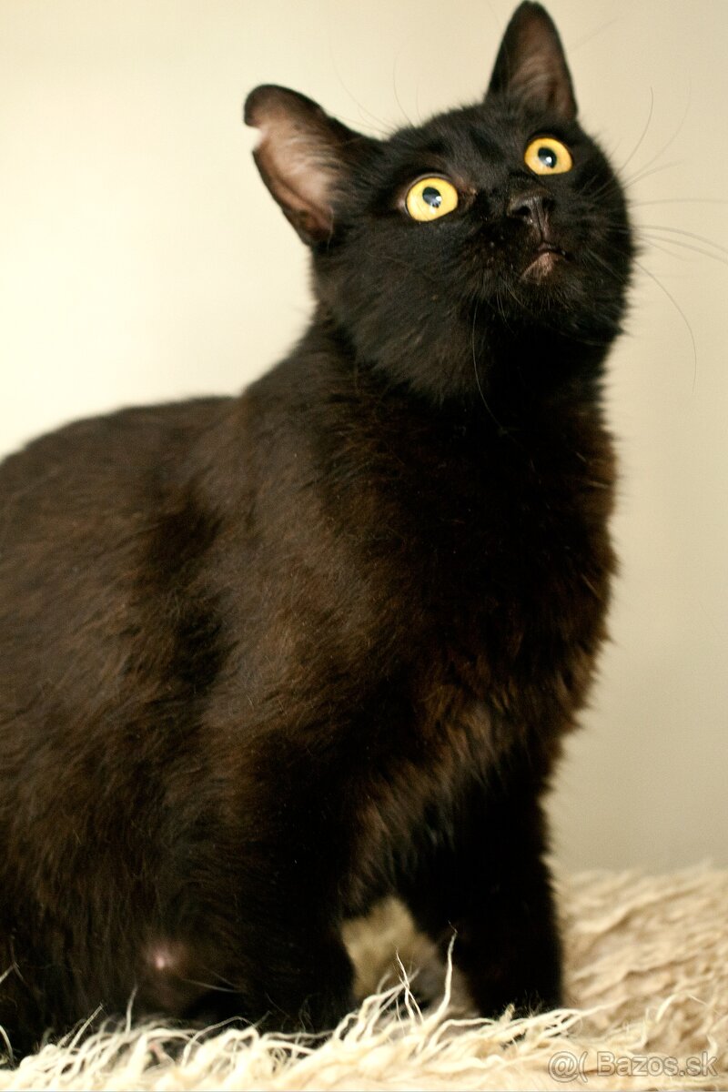 ❤ Moryana - dôverčivá, dobrá a pokojná - 3