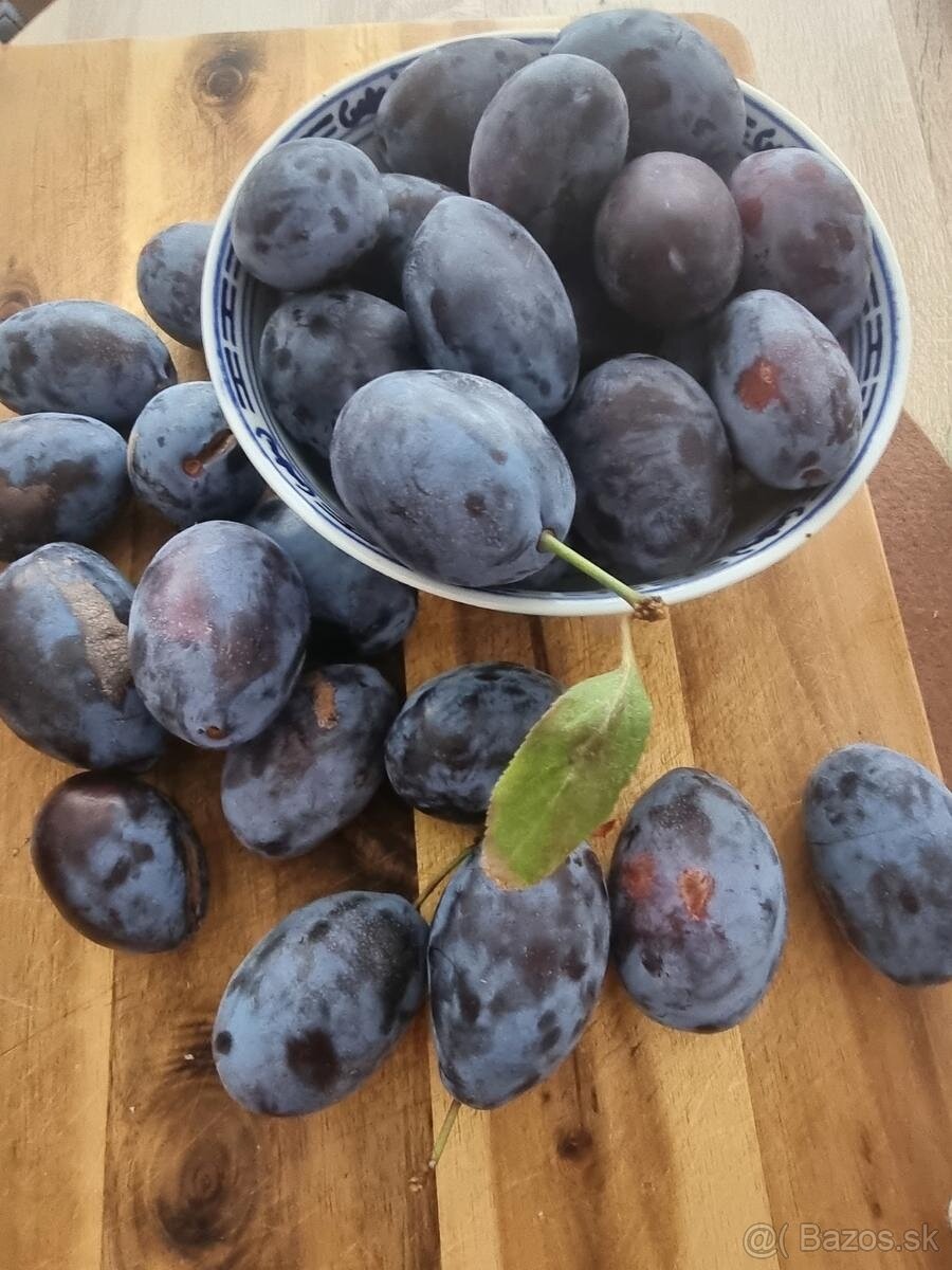 Predám slivky na kvas - 3