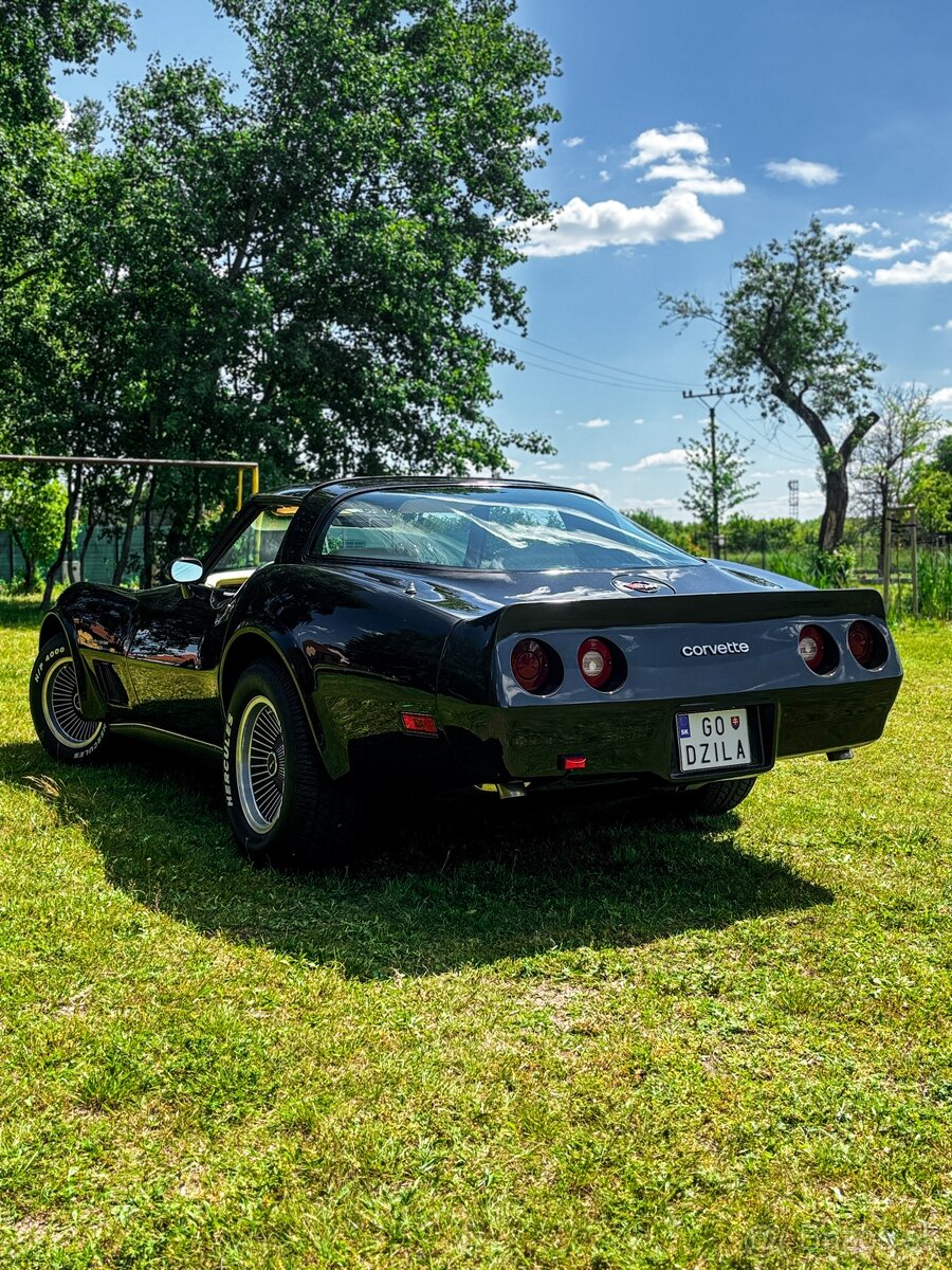 Chevrolet Corvette C3 1982 5.7 V8 - 3