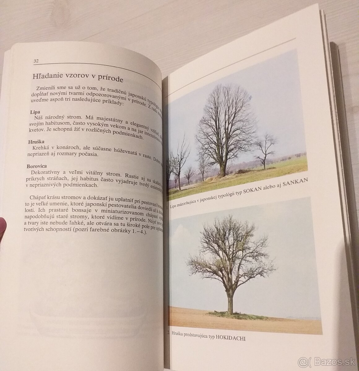 Milosla Ryšán, Bonsaj - 3