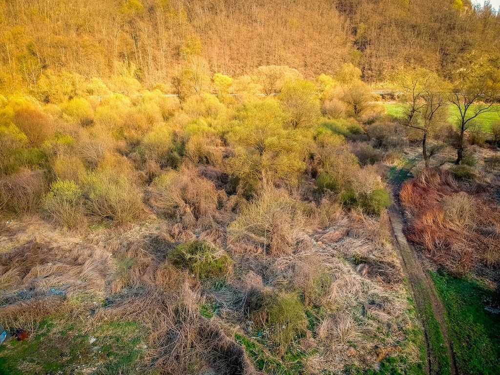 Muľa - 1.781 m2 POZEMOK V OBCI - 3