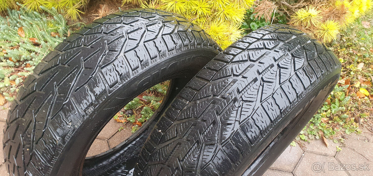 SEBRING SNOW, ZIMNE, CELOROCNE, 195/65 R15, 95T, M+S - 3
