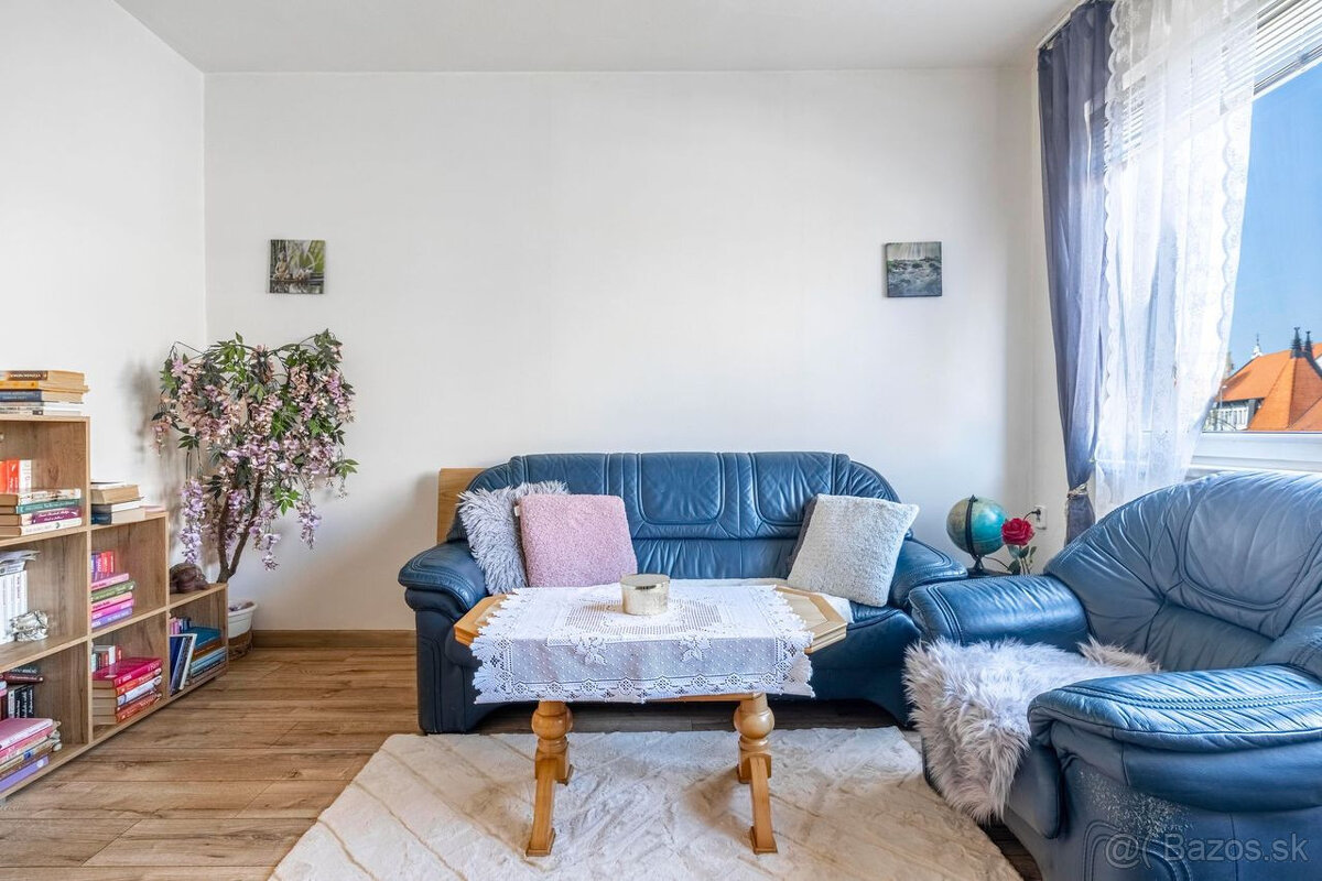 PREDAJ - Nebytových priestorov Dunajská Streda - 3