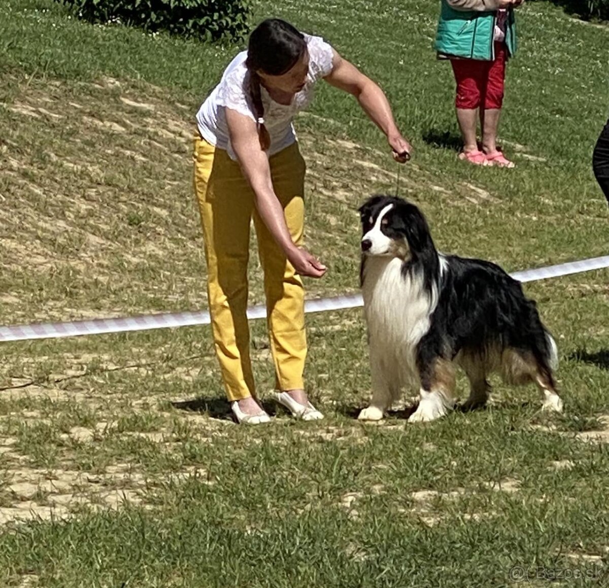 Krytie chovným AUO - 3