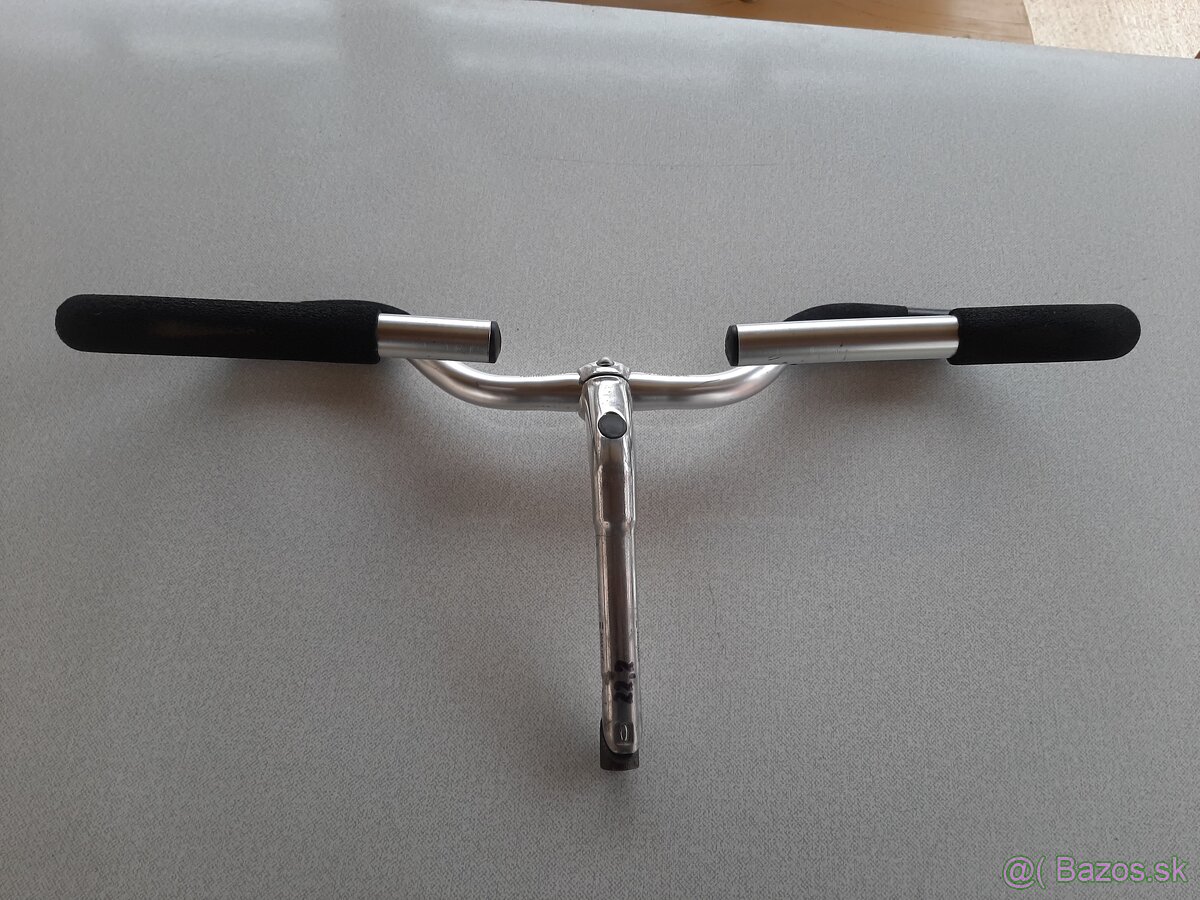 Predstavec s riaditkami - 3