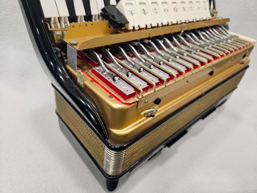 akordeon hohner lucia IV 96b - 3