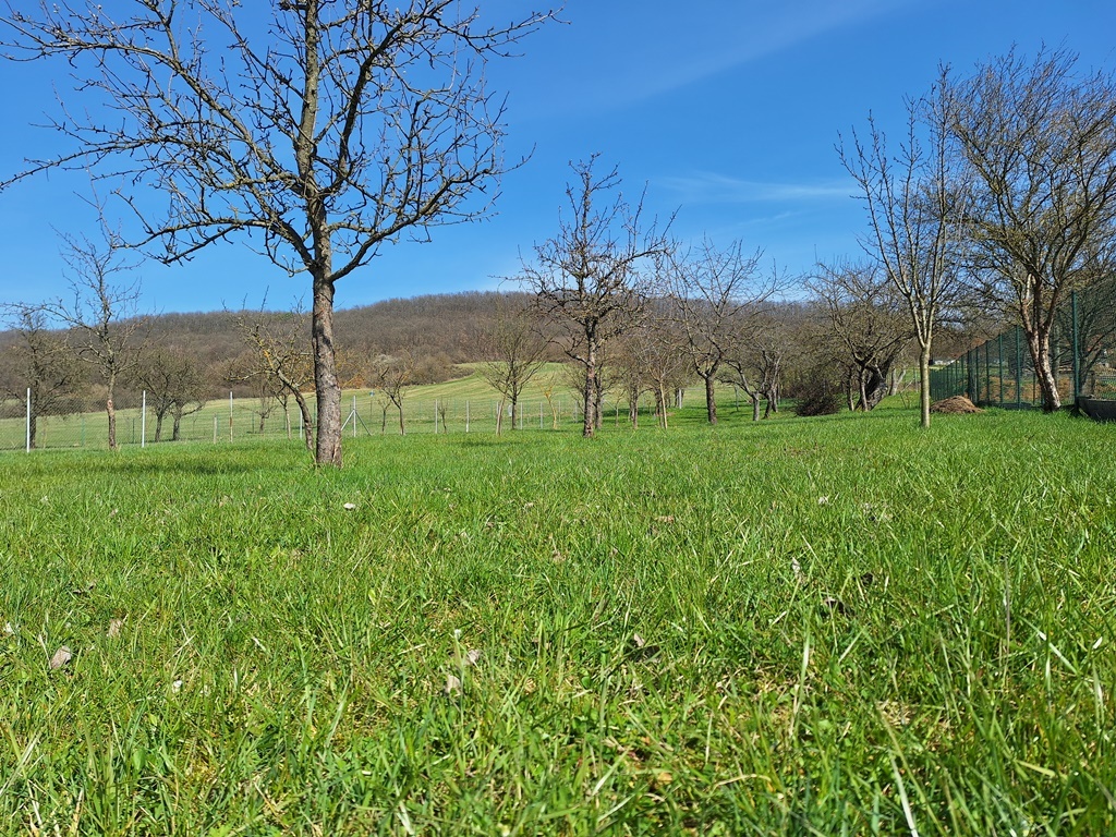 SLNEČNÉ STAVEBNÉ POZEMKY - Nižný Skálnik - 3