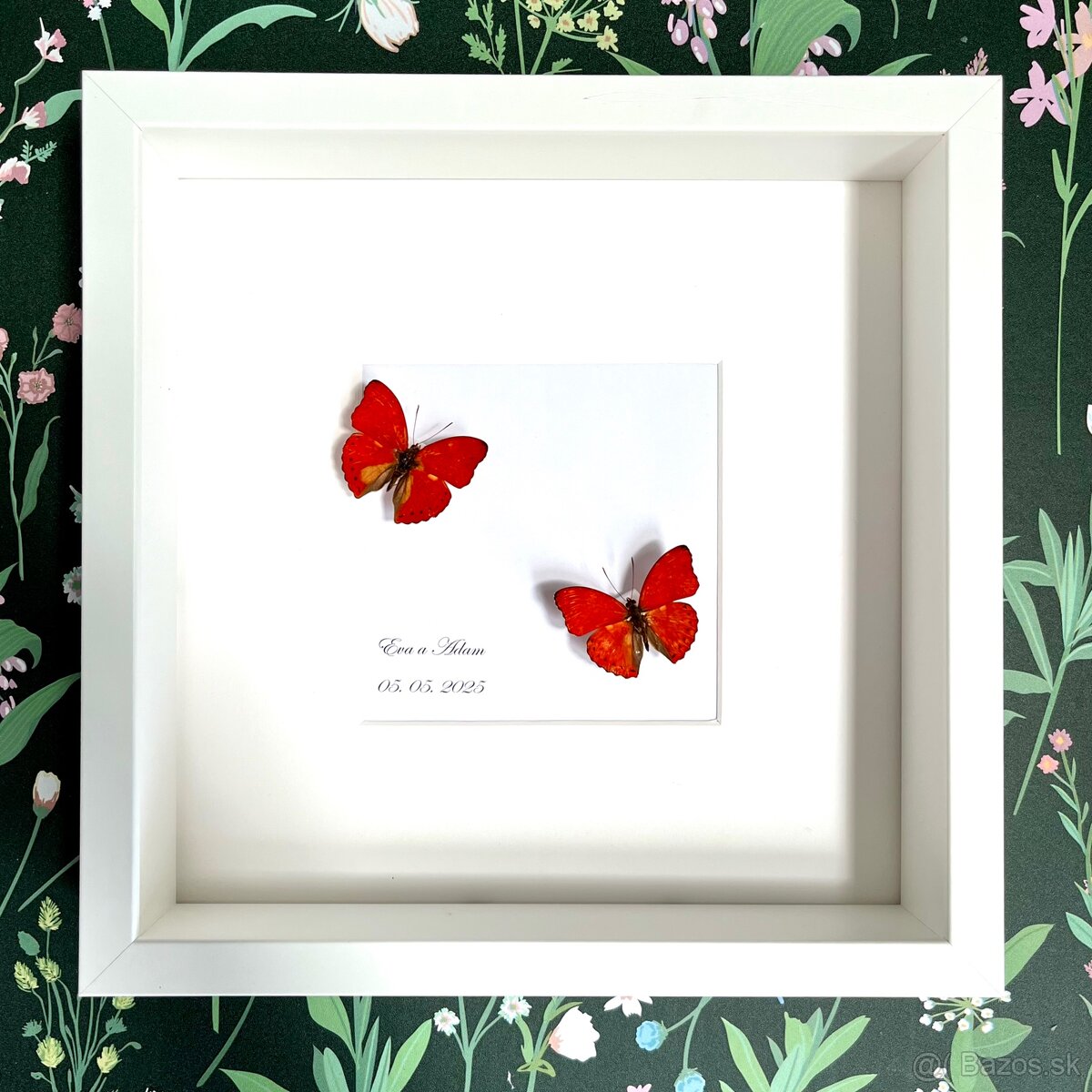 Svadobné motýle s venovaním - 3