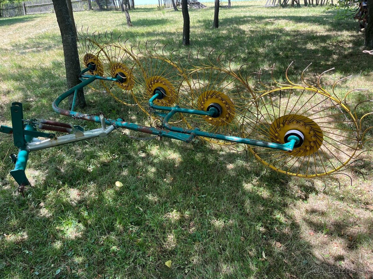 slniečkova hrabačka - 3