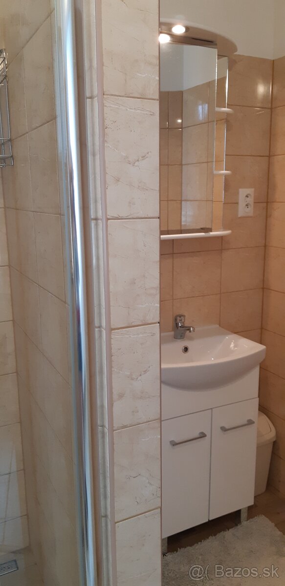 prenájom domu pre firmy a živnostníkov Sučany - 3