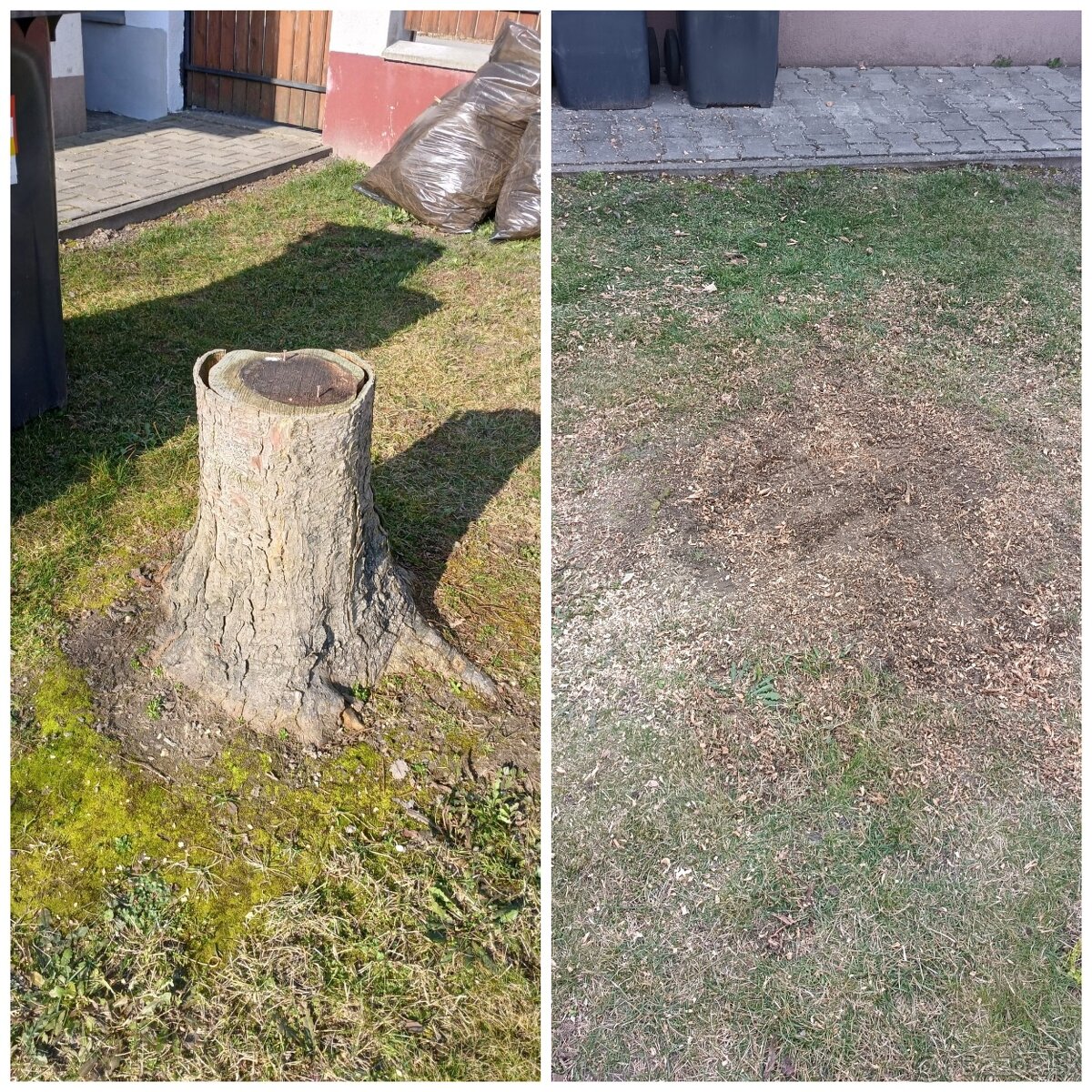 Frézovanie pňov a výrub - 3