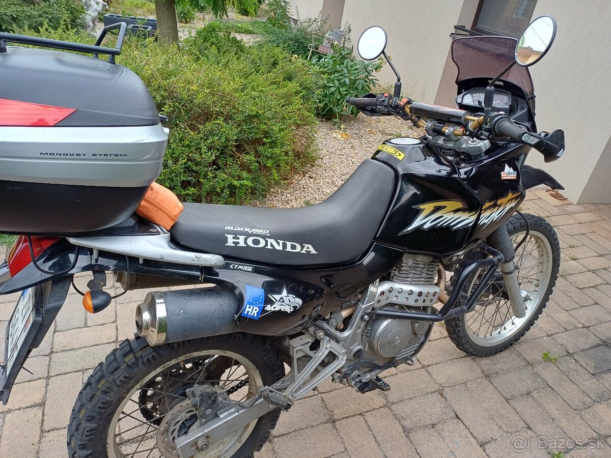 Honda nx 650 Dominator - 3