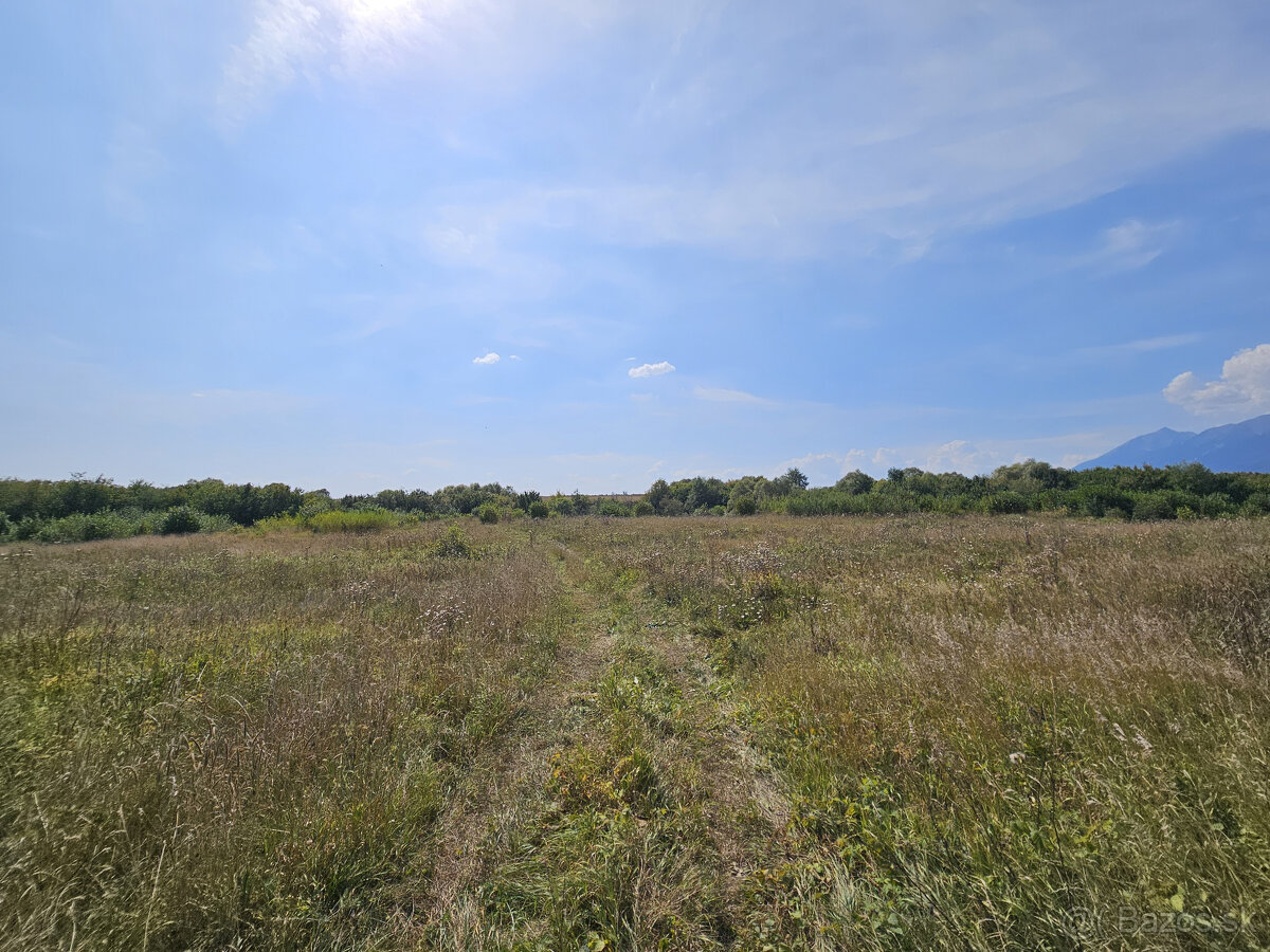 EXKLUZÍVNA PONUKA: PRIESTRANNÝ POZEMOK PRI SVLOVENSKEJ VSI - 3