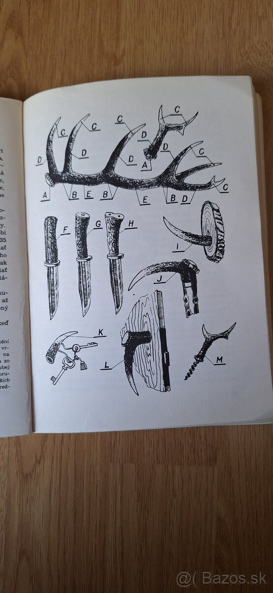 Poľovnícke trofeje a výrobky - 3