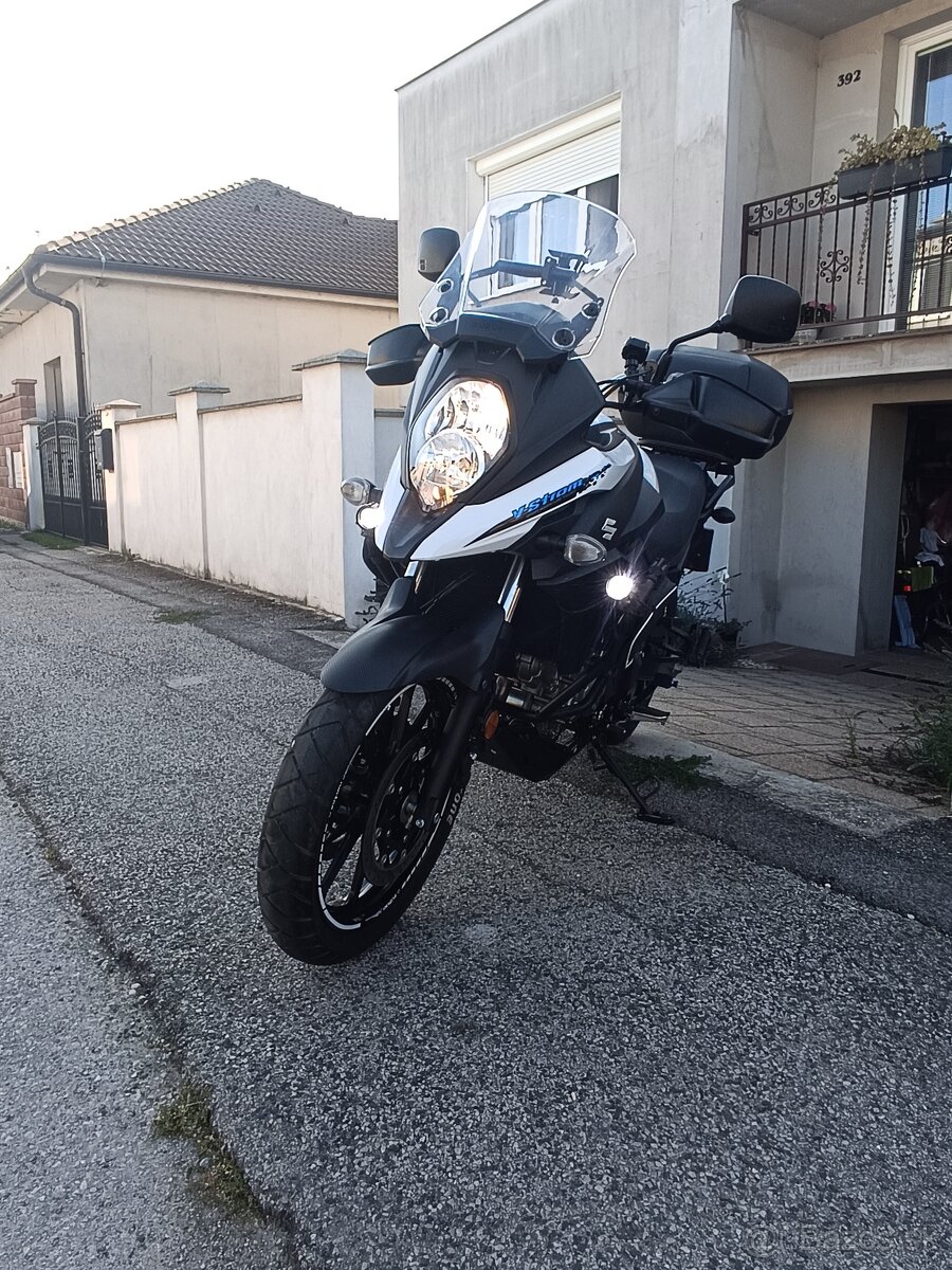 Suzuki v strom - 3