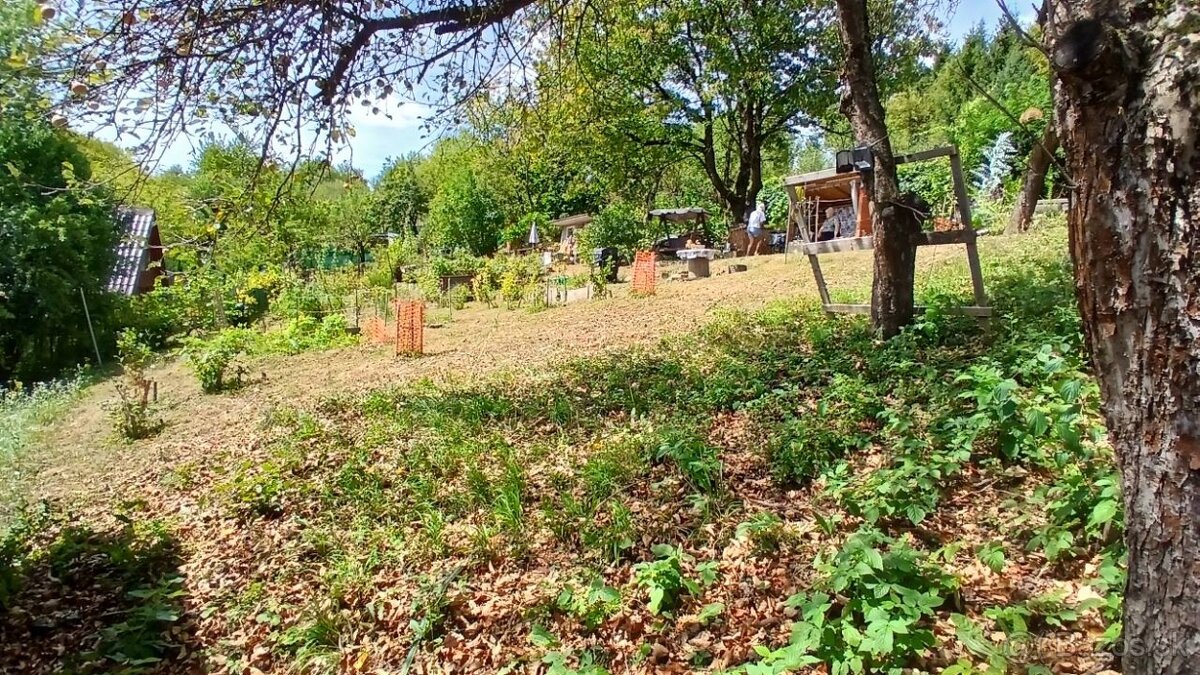 Záhrada s LV v PB- časť Jelšové - 3