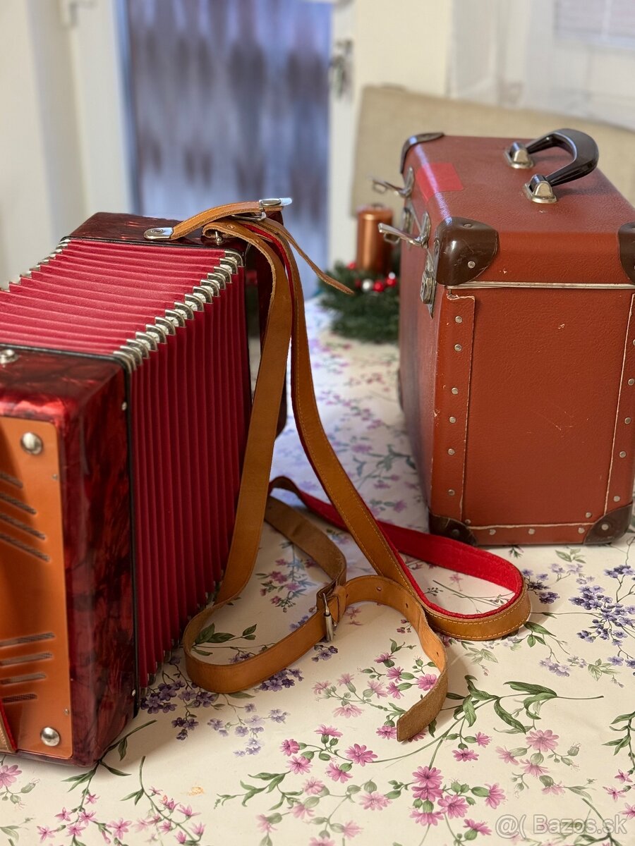 Heligonka popular delicia - 3