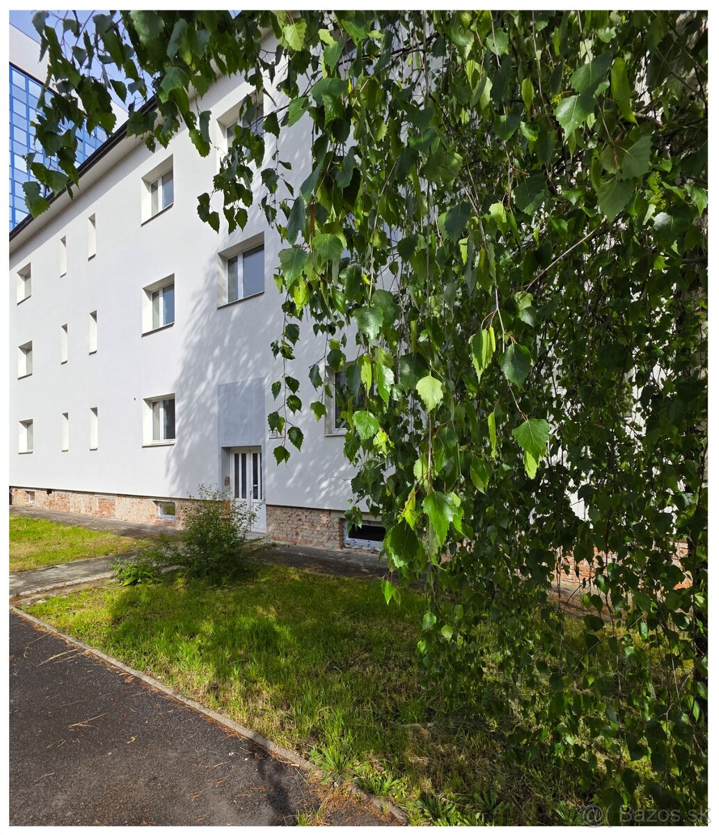 Predaj - komerčná nehnuteľnosť - 3