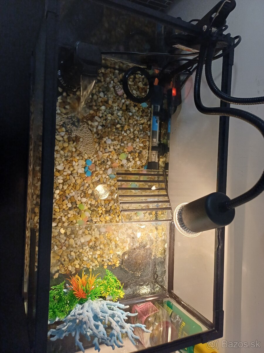 Akvarium s prislusenstvom - 3