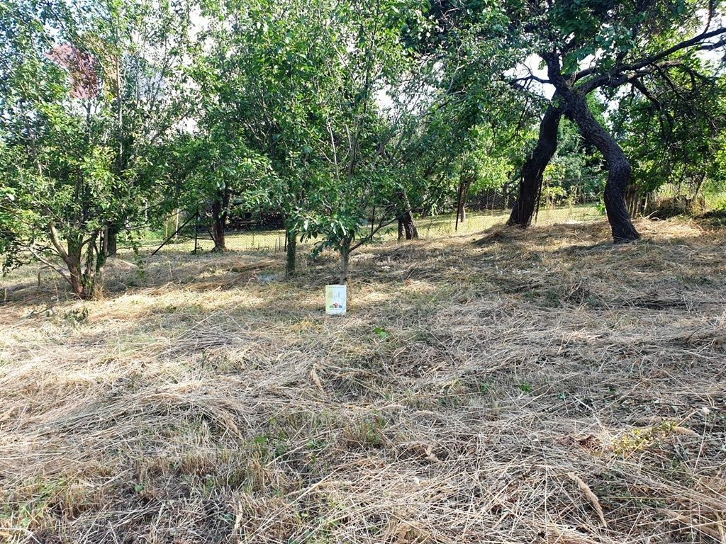 Na predaj investičný pozemok "záhrada" o výmere 691 m2 - 3