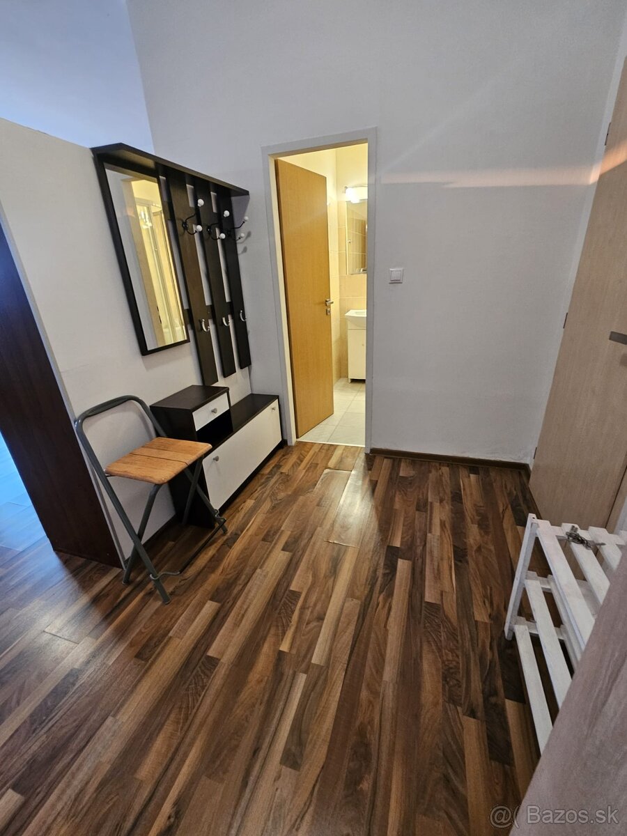 Prenajom 1-izboveho bytu - 3