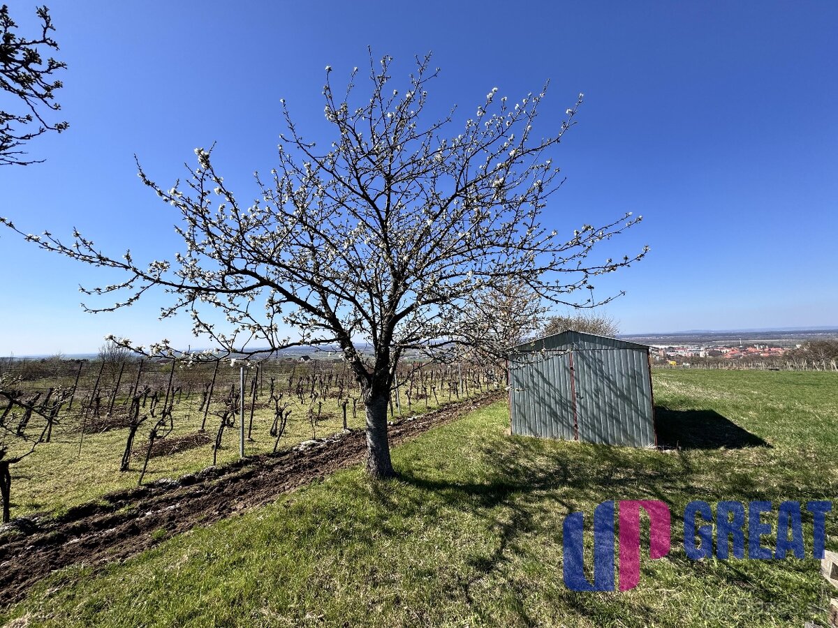 Pozemok s nádherným výhľadom na Skalicu–vinohrad so sklepom - 3