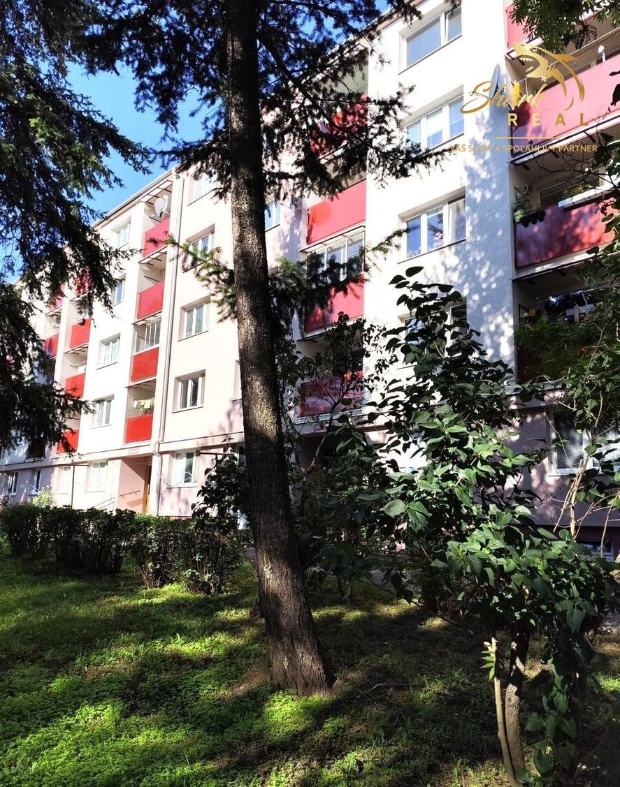 3 IZBOVÝ BYT - TOPOĽČANY - 3