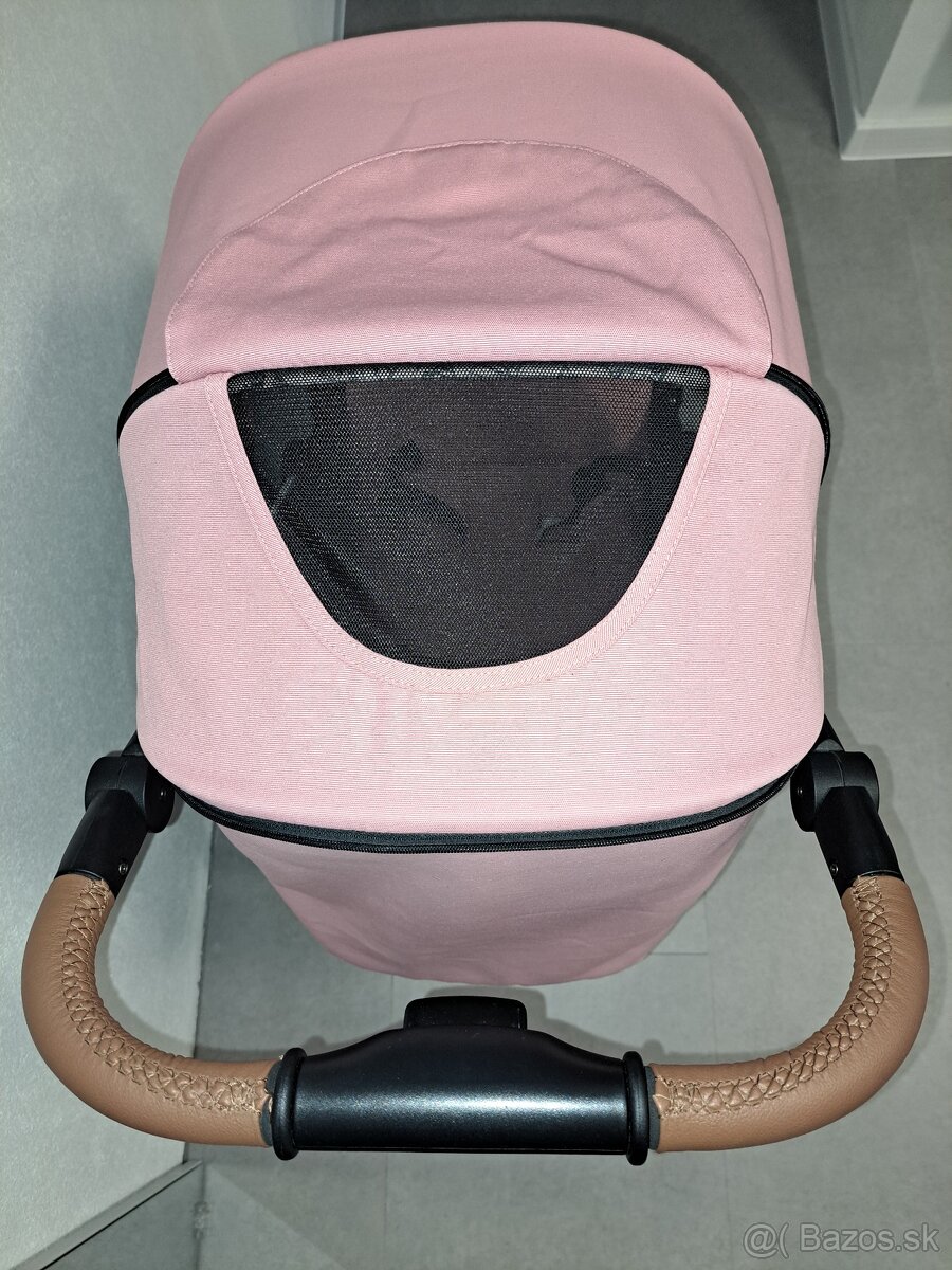 Kočík Pettite and Mars - 3