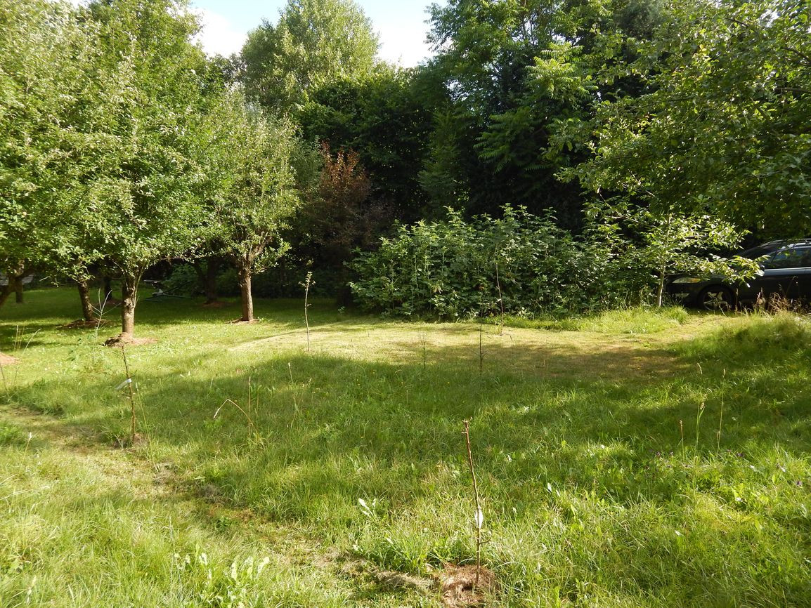 EXKLUZÍVNE-SPEKTRUM REALITY- Na predaj rodinný dom s pozemko - 3