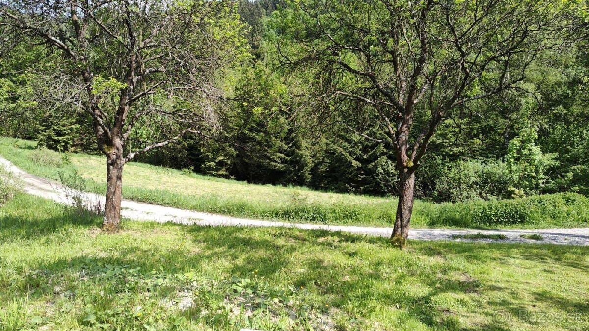 Posuniem slnečný väčší pozemok vo Veľkom Rovnom - 3