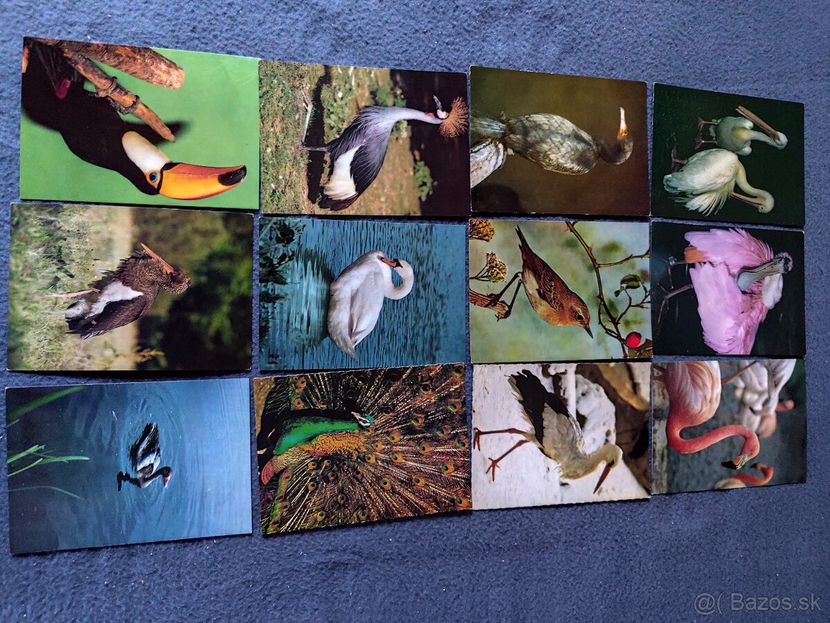 Zbierka pohľadnic - 3