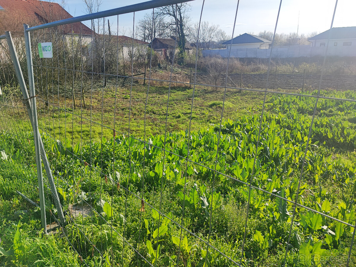 Tomasikovo pozemok 630m2 - 3