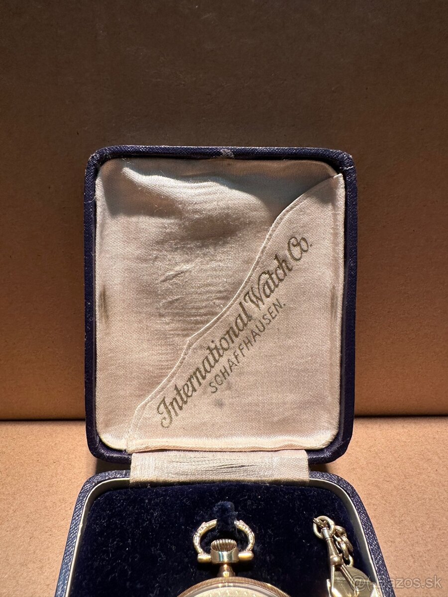 IWC SCHAFFHAUSEN 1920 Kapesne hodinky - 3