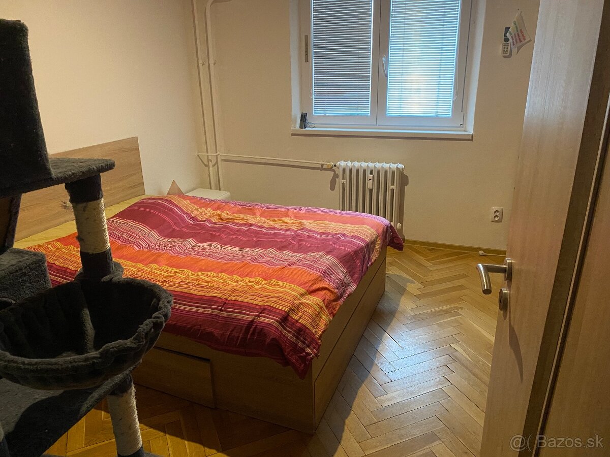 Izba na prenajom Rača - 3