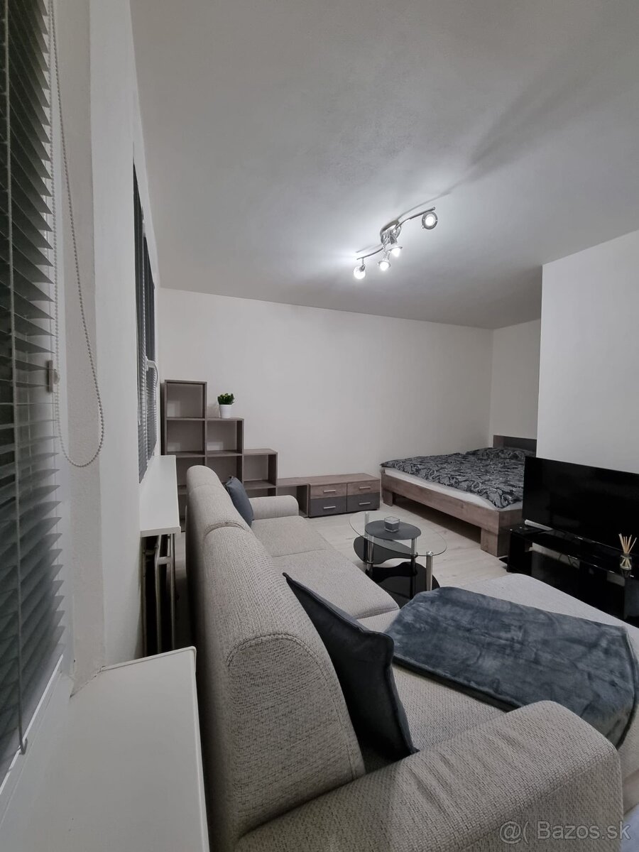 Nájom 1 izbový byt Severná BB - 3
