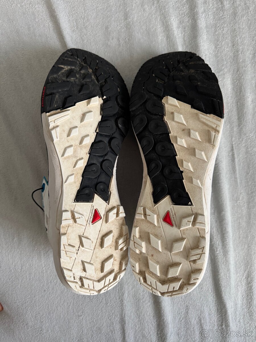 Salomon Alpinway - 3