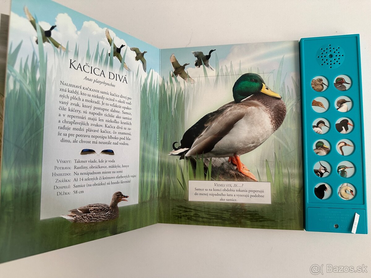 Zvukové knihy Vtáky voľnej prírody - 3