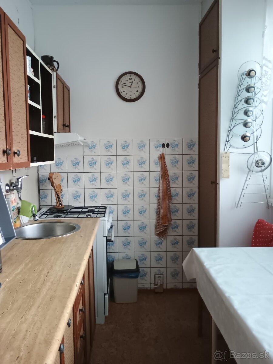 Byt v pôvodnom stave - 3