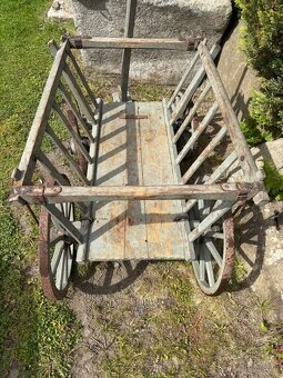 Starožitný žebřiňák - 3