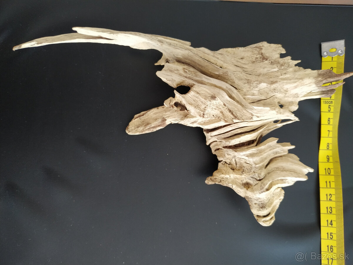 Samorast / Paroh - 3