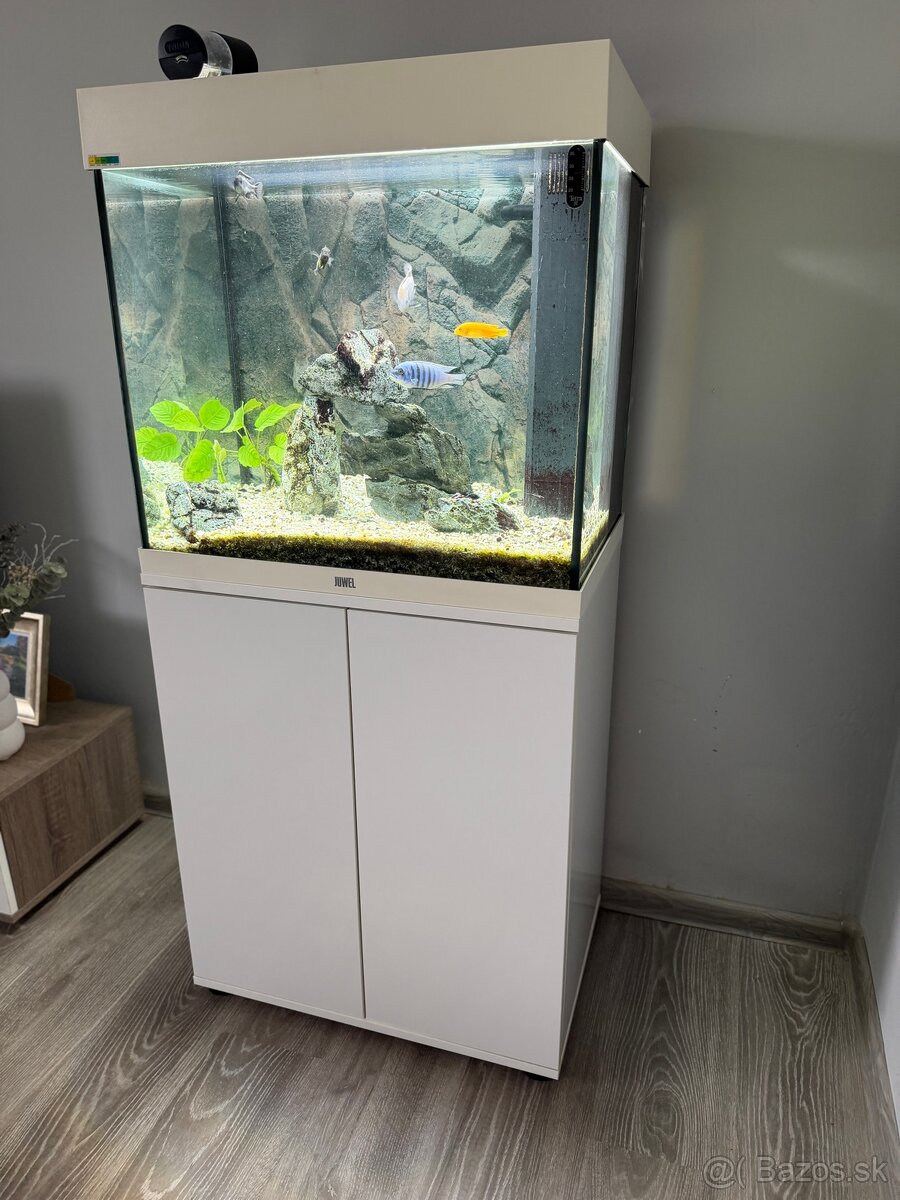 Juwel Lido 120l - 3
