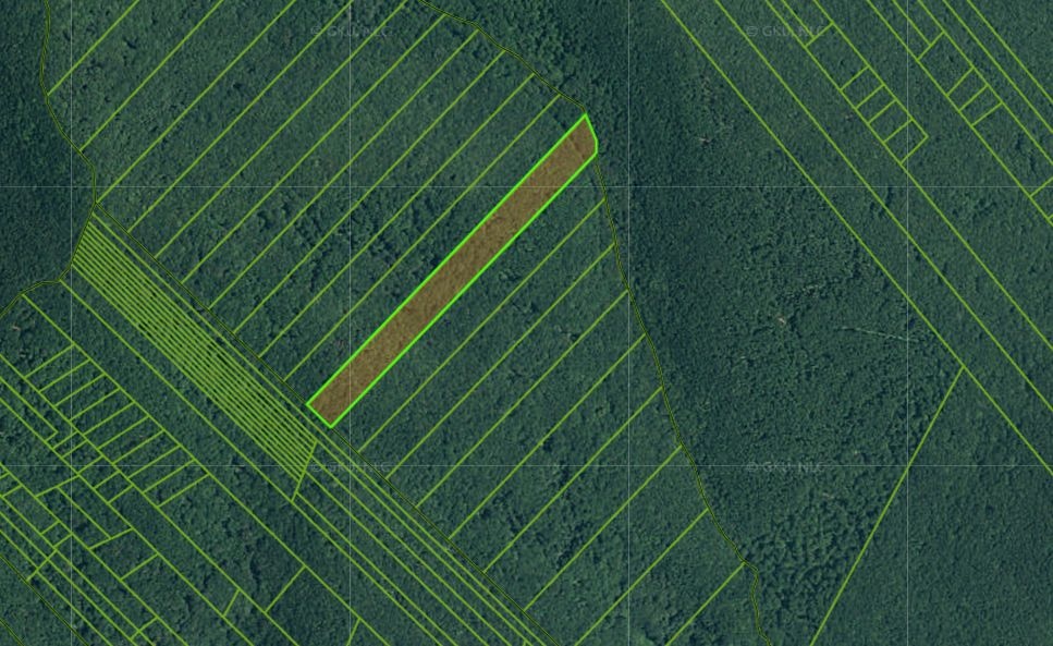 Slanské Vrchy - 7000 m2 LESNÉHO POZEMKU - 3