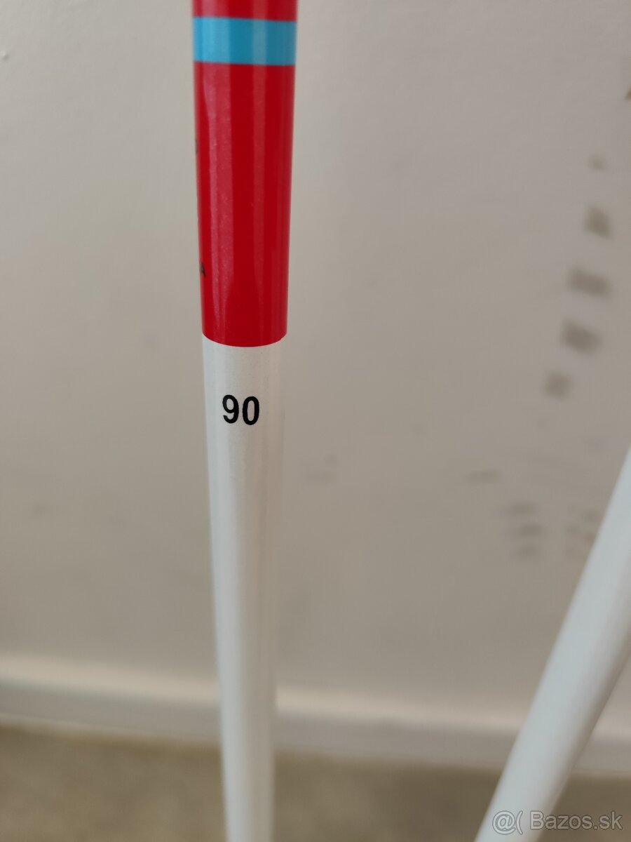 lyžiarky 268cm, lyžiarske palice 80 - 3